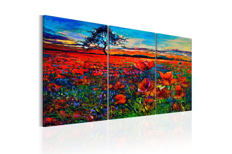 Tavle Valley Of Poppies 60X30 - Artgeist sp. z o. o. - Innredning - Bilder & kunst - Lerretsbilder