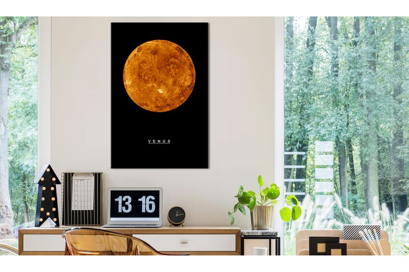 Tavle Venus (1 Part) Vertical 60X90 - Artgeist sp. z o. o. - Innredning - Bilder & kunst - Lerretsbilder