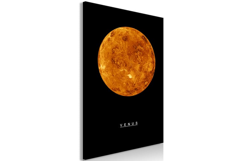 Tavle Venus (1 Part) Vertical 60X90 - Artgeist sp. z o. o. - Innredning - Bilder & kunst - Lerretsbilder