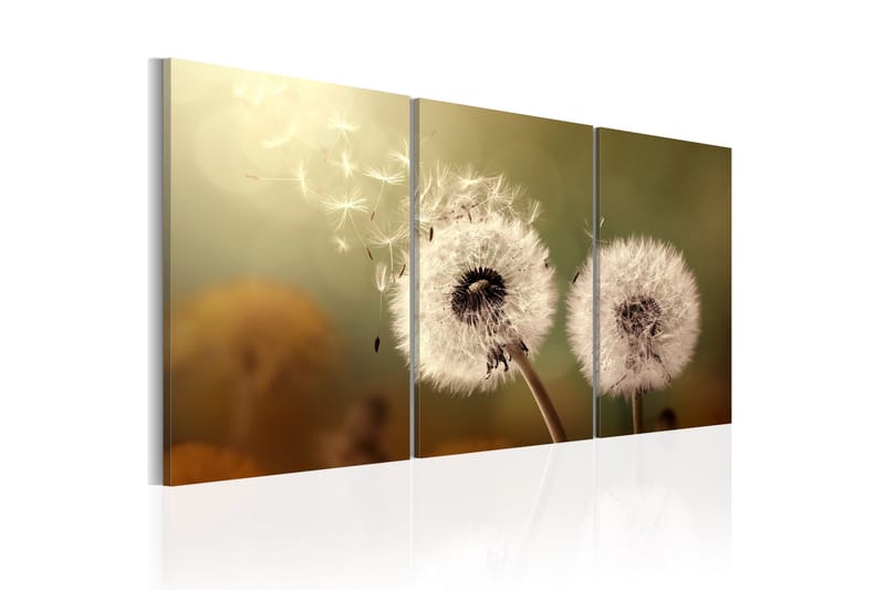 Tavle Whisper Of Summer 60X30 - Artgeist sp. z o. o. - Innredning - Bilder & kunst - Lerretsbilder