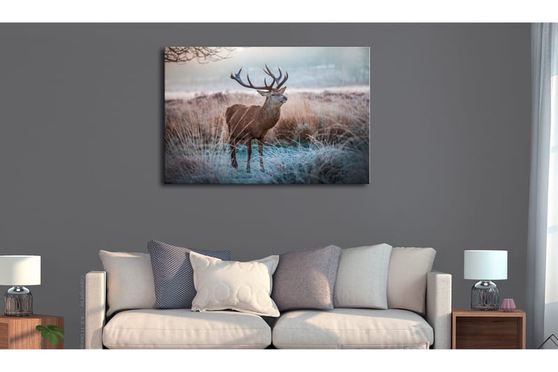 Tavle Wild Animal 120X80 - Artgeist sp. z o. o. - Innredning - Bilder & kunst - Lerretsbilder