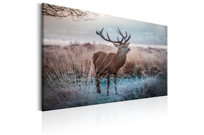 Tavle Wild Animal 90X60 - Artgeist sp. z o. o. - Innredning - Bilder & kunst - Lerretsbilder