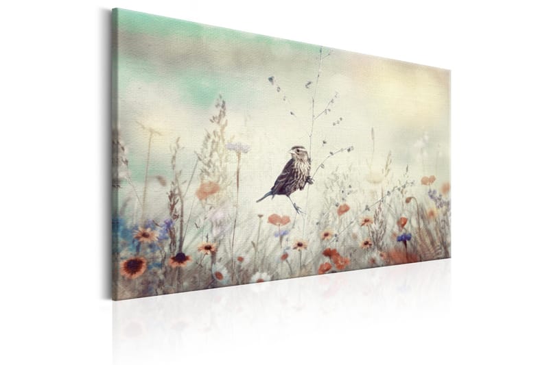 Tavle Wild Meadow 120X80 - Artgeist sp. z o. o. - Innredning - Bilder & kunst - Lerretsbilder