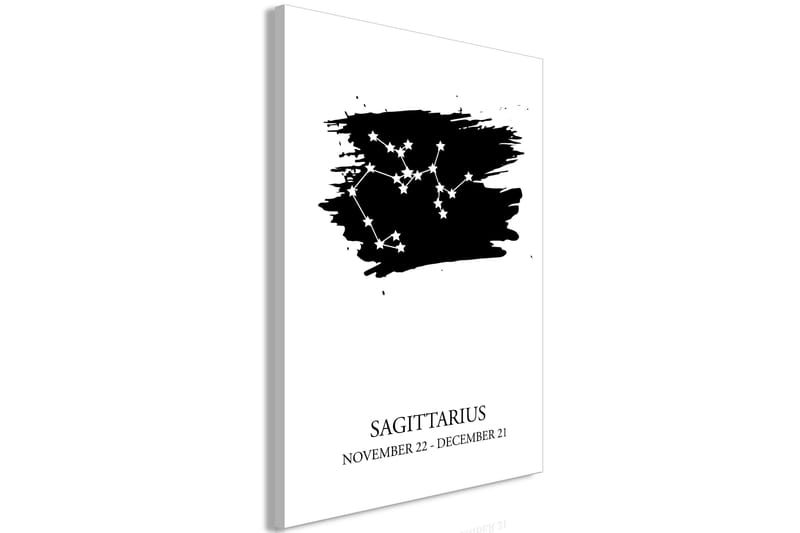 Tavle Zodiac Signs: Sagittarius (1 Part) Vertical 60X90 - Artgeist sp. z o. o. - Innredning - Bilder & kunst - Lerretsbilder