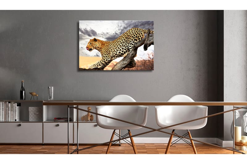 Tavle Predatory Stare 90X60 - Artgeist sp. z o. o. - Innredning - Bilder & kunst - Lerretsbilder