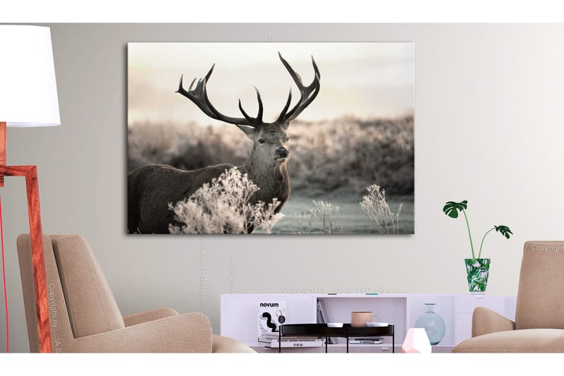 Tavle Powerful Horns 120X80, Artgeist sp. z o. o.