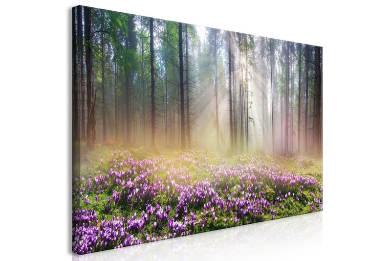 Tavle Purple Meadow (1 Part) Wide 120X60 - Artgeist sp. z o. o. - Innredning - Bilder & kunst - Lerretsbilder