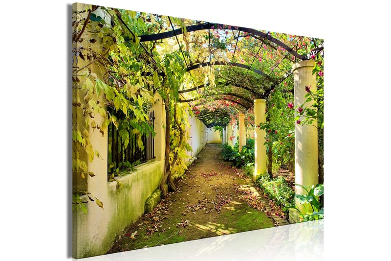 Tavle Pergola (1 Part) Wide 120X80 - Artgeist sp. z o. o. - Innredning - Bilder & kunst - Lerretsbilder