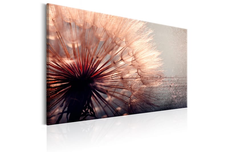 Tavle Pink Gentleness 90X60 - Artgeist sp. z o. o. - Innredning - Bilder & kunst - Lerretsbilder