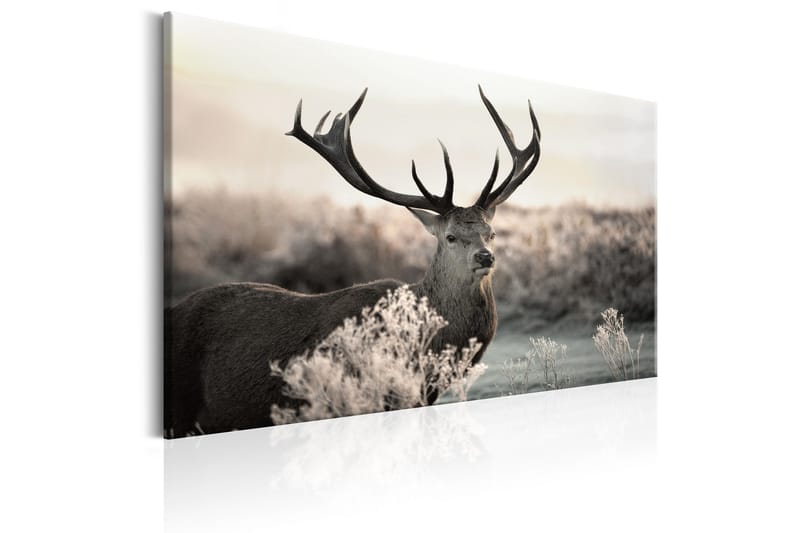 Tavle Powerful Horns 120X80 - Artgeist sp. z o. o. - Innredning - Bilder & kunst - Lerretsbilder