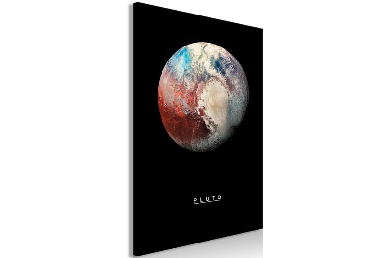 Tavle Pluto (1 Part) Vertical 60X90 - Artgeist sp. z o. o. - Innredning - Bilder & kunst - Lerretsbilder