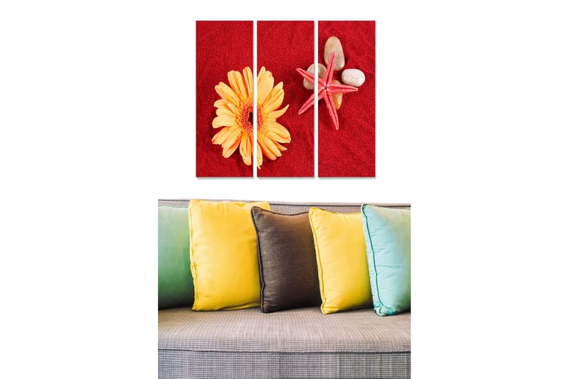 Trelerret 3-delt 50x70 cm - Fargerik komposisjon med blomst og skjell på rød bakgrunn, Rød / Gul / Beige
