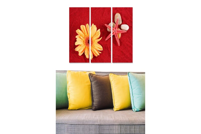 Trelerret 3-delt 50x70 cm - Fargerik komposisjon med blomst og skjell på rød bakgrunn, Rød / Gul / Beige