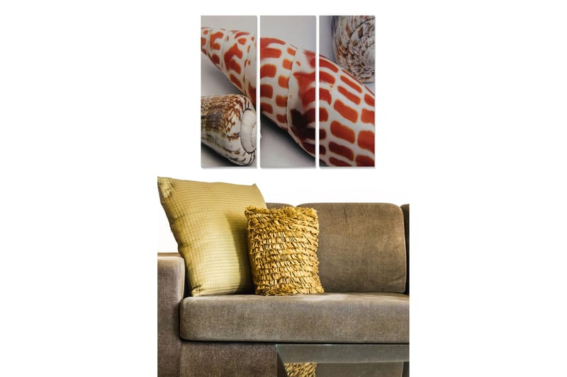 Trelerret 3-delt 50x70 cm - Fargerike skjell i en detaljert komposisjon, Rød / Beige / Brun