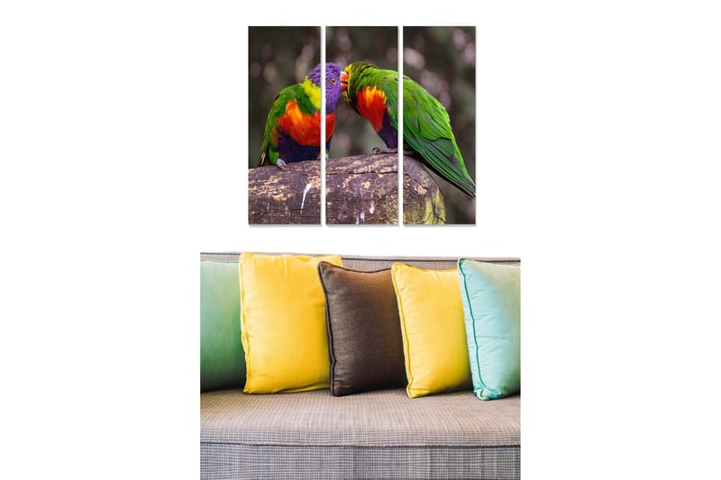 Trelerretsbilde 3-delt 50x70 cm - Fargerike papegøyer som samhandler på en gren, Grønn / Rød / Lilla