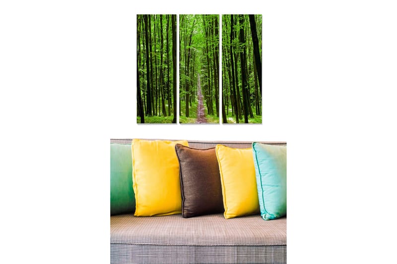 Trelerretsbilde 3-delt 50x70 cm - Frodig skog med høye trær og en sti som fører ned i dypet, Grønn / Lys grønn