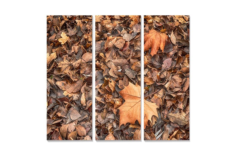 Trelerretsbilde 3-delt 50x70 cm - Høstblader i forskjellige nyanser av brunt og oransje, Brun / Oransje / Beige