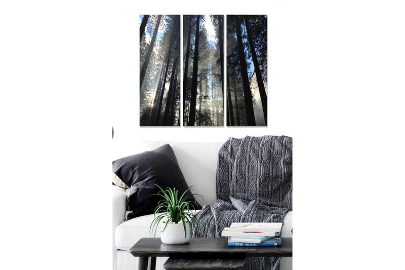 Trelerretsbilde 3-delt 50x70 cm - Høye trær som strekker seg mot en tåkete himmel, Mørk grønn / Svart / Lys blå