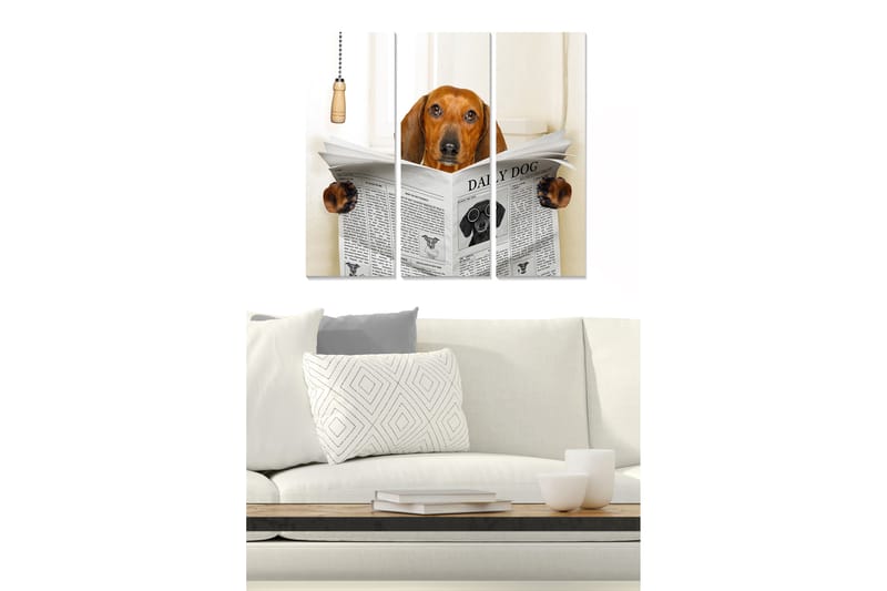 Trelerretsbilde 3-delt 50x70 cm - Hund som leser avisen med nysgjerrighet, Brun / Svart / Hvit