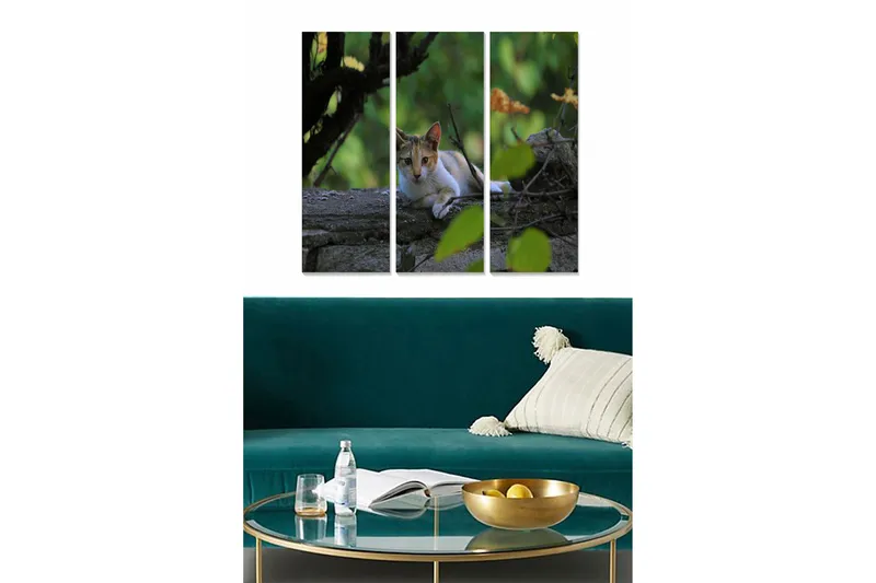 Trelerretsbilde 3-delt 50x70 cm - Katt som ligger på en stein omgitt av grøntområder, Grønn / Brun / Hvit