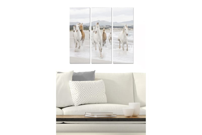 Trelerretsbilde 3-delt 50x70 cm - Løpende hester ved sjøen, Hvit / Beige / Lys grå