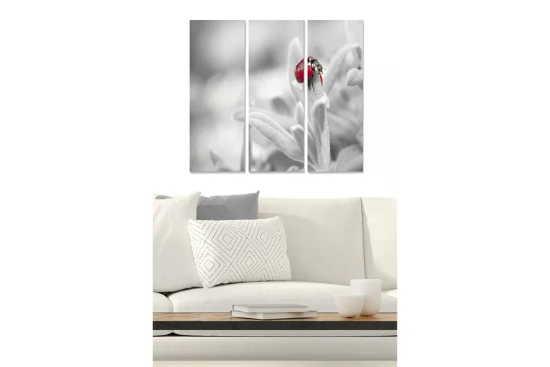 Trelerretsbilde 3-delt 50x70 cm - Rød marihøne på en grønn plante, Rød / Grønn / Svart