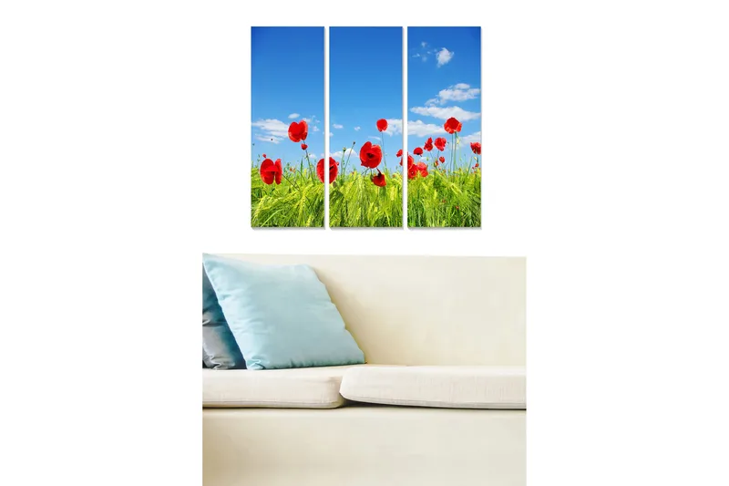 Trelerretsbilde 3-delt 50x70 cm - Røde valmuer i en grønn eng under en klar blå himmel, Rød / Grønn / Blå