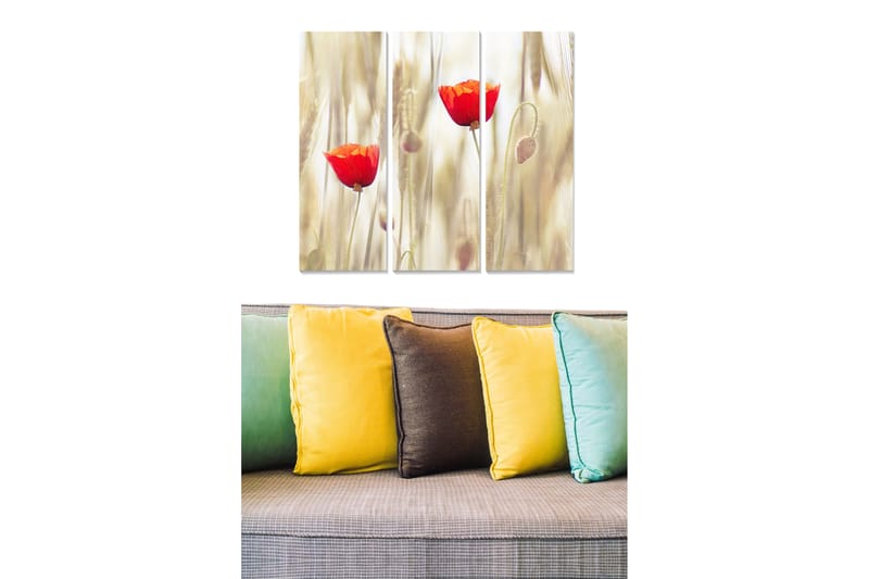 Trelerretsbilde 3-delt 50x70 cm - Røde valmuer i et mykt, gult og beige landskap, Rød / Gul / Beige