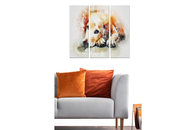 Trelerretsbilde 3-delt 50x70 cm - Rolig hund som hviler med hodet på potene - Oransje / Hvit / Svart - Innredning - Bilder & kunst - Lerretsbilder