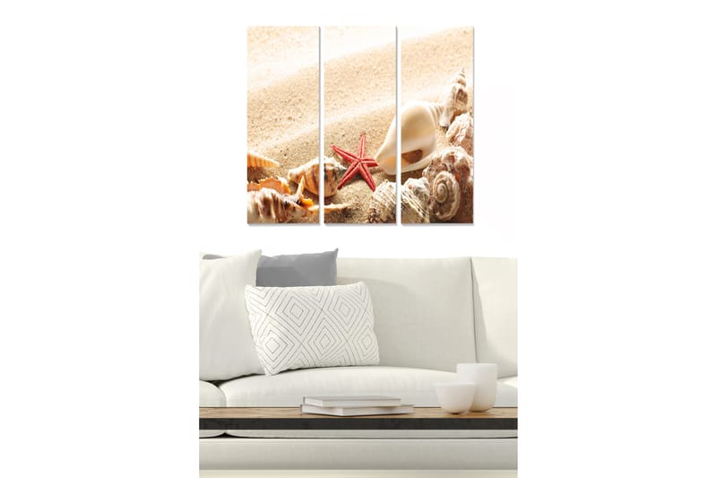 Trelerretsbilde 3-delt 50x70 cm - Skjell og sjøstjerne på en sandstrand, Beige / Rød / Brun