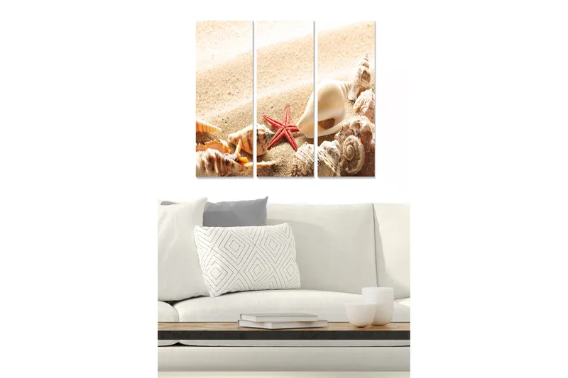 Trelerretsbilde 3-delt 50x70 cm - Skjell og sjøstjerne på en sandstrand, Beige / Rød / Brun