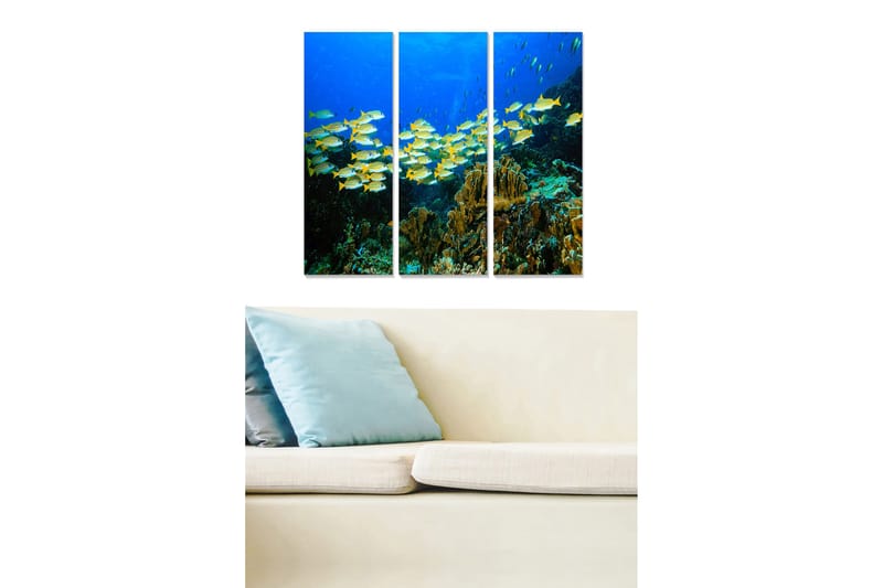 Trelerretsbilde 3-delt 50x70 cm - Stim med fargerike fisker i dypet av korallrevet, Blå / Gul / Grønn