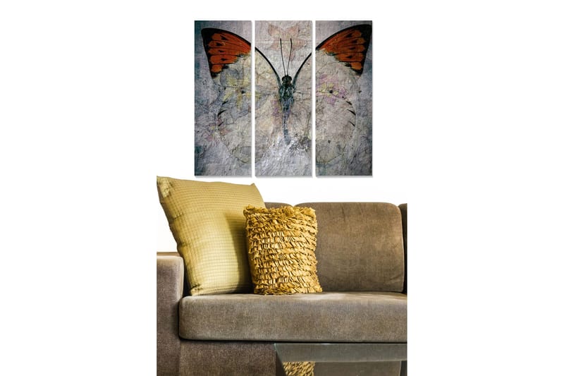 Trelerretsbilde 3-delt 50x70 cm - Storslått sommerfugl med oransje vinger, Oransje / Grå / Hvit
