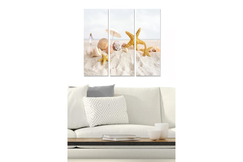 Trelerretsbilde 3-delt 50x70 cm - Strandmotiv med skjell og sjøstjerner - Gull / Beige / Hvit - Innredning - Bilder & kunst - Lerretsbilder