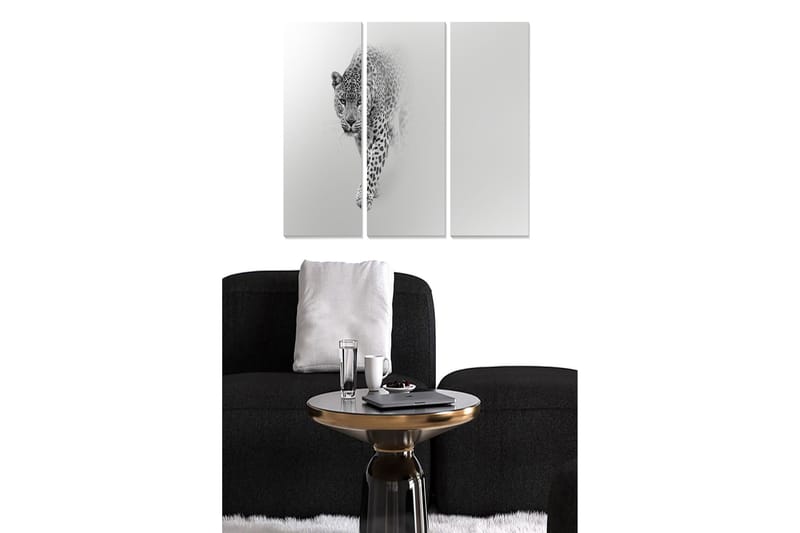 Trelerretsbilde 3-delt 50x70 cm - Svart og hvit leopard i bevegelse, Svart / Hvit