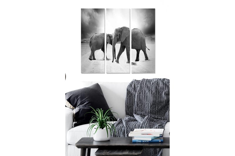 Trelerretsbilde 3-delt 50x70 cm - Tre elefanter i svart-hvitt-komposisjon, Svart / Hvit / Grå