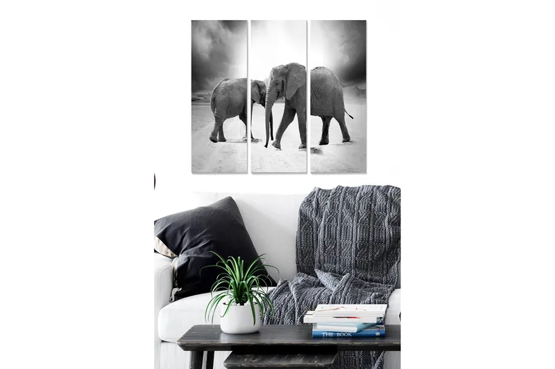 Trelerretsbilde 3-delt 50x70 cm - Tre elefanter i svart-hvitt-komposisjon, Svart / Hvit / Grå
