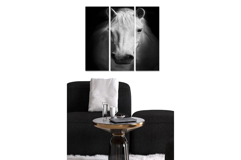 Trelerretsbilde 3-delt 50x70 cm - Portrett av en hvit hest i svart-hvitt, Hvit / Svart