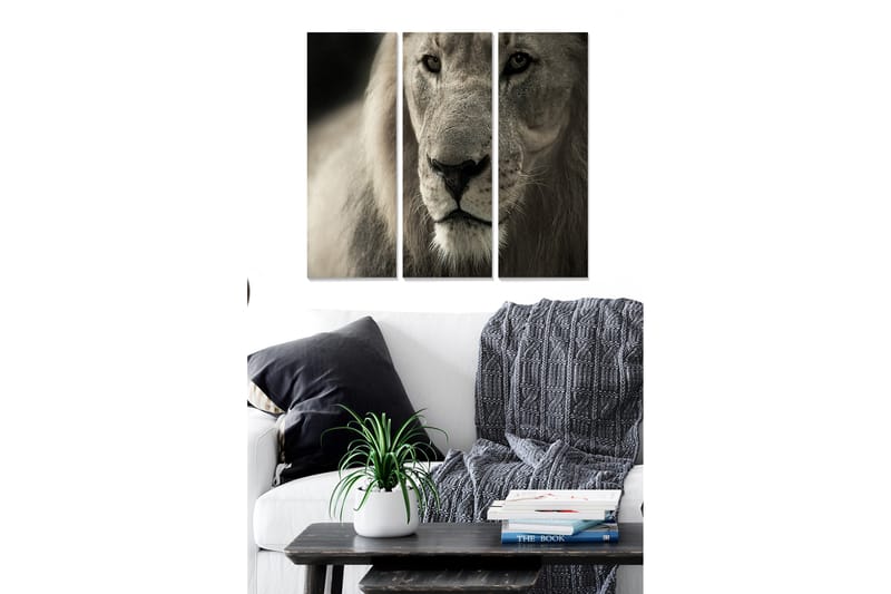 Trelerretsbilde i 3 deler, 50x70 cm - Majestetisk løvehode i nærbilde, Grå / Beige / Svart