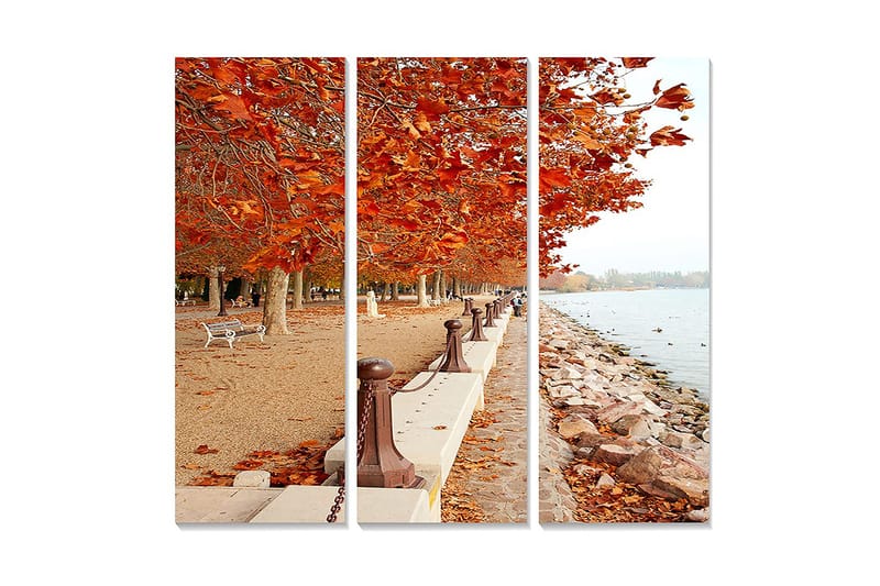 Trelerretsbilde i tre, 3-delt, 50x70 cm - Høstlandskap med gylne løvtrær langs en promenade ved vannet, Oransje / Brun / Beige
