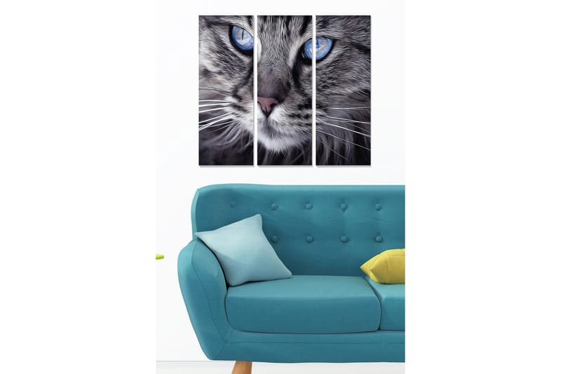 Trelerretsbilde i tre, 3-delt, 50x70 cm - Nærbilde av en katt med intense blå øyne, Grå / Blå