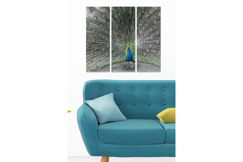 Trelerretsbilde i tre, 3-delt, 50x70 cm - Storslått påfugl med spredte fjær, Blå / Grønn / Grå