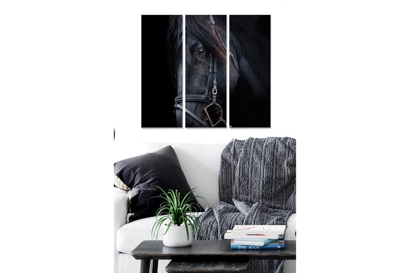 Trelerretsbilde i tre, 3-delt, 50x70 cm - Svart hesteportrett med fokus på øynene, Svart / Grå / Brun