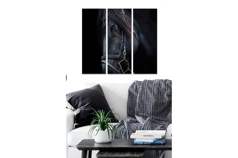 Trelerretsbilde i tre, 3-delt, 50x70 cm - Svart hesteportrett med fokus på øynene, Svart / Grå / Brun