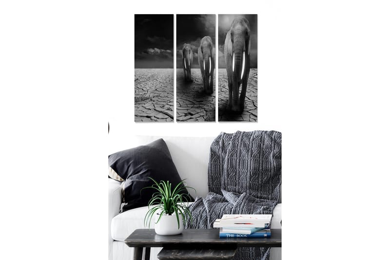 Trelerretsbilde i tre, 3-delt, 50x70 cm - Tre elefanter som går over en sprukken og tørr bakkeoverflate, Svart / Grå / Hvit