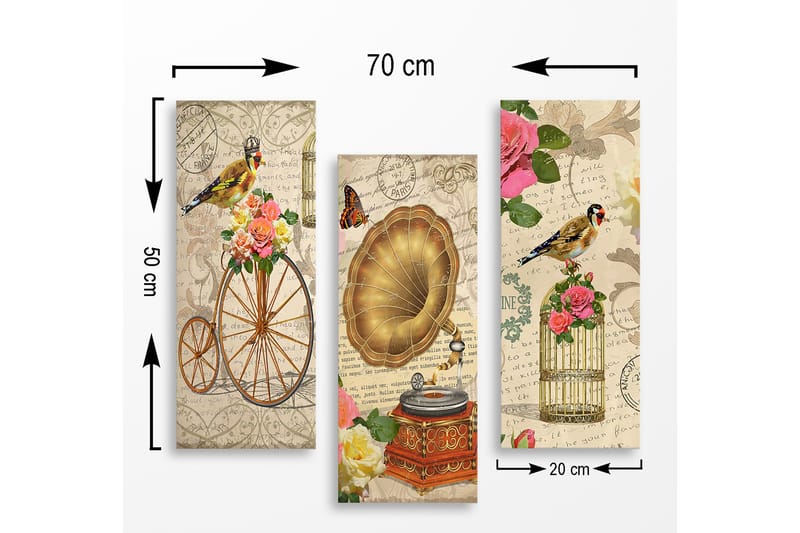Trelerretsbilde i tre, 3-delt, 50x70 cm - Vintage-komposisjon med fugler, blomster og grammofon - Gull / Rosa / Grønn - Innredning - Bilder & kunst - Lerretsbilder