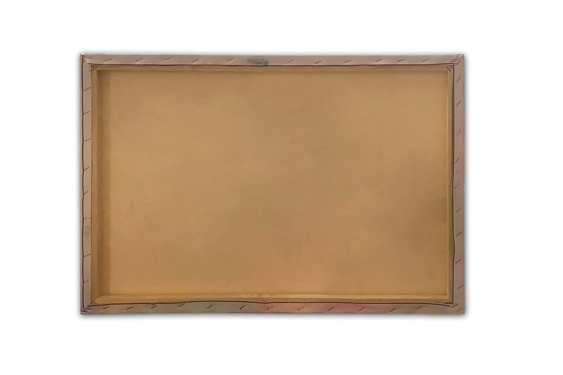 Veggdekor Canvasbilde Bract Abstract - 70x50 cm - Lerretsbilder