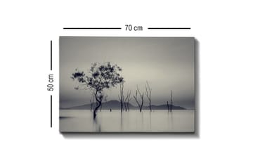 Veggdekorasjon Canvas Bilde - Innredning - Bilder & kunst - Lerretsbilder