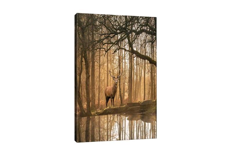 Veggdekorasjon Canvas Bilde - Innredning - Bilder & kunst - Lerretsbilder
