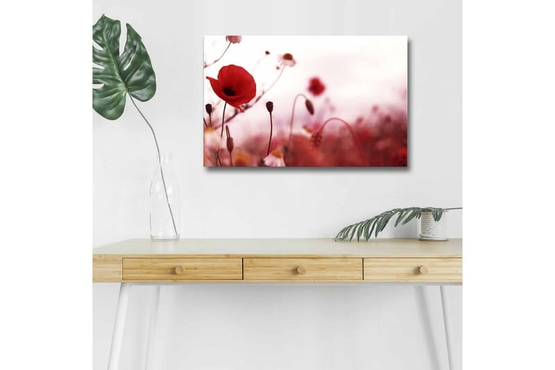 Veggdekorasjon LED-belysning Canvas Bilde - Innredning - Bilder & kunst - Lerretsbilder